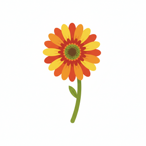 Gerbera